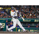 ブロマイド 4/17 T-D No.3　1森下