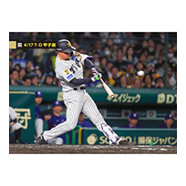 ブロマイド 4/17 T-D No.3　1森下