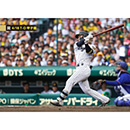 ブロマイド 4/18 T-D No.1　12坂本