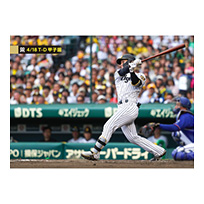 ブロマイド 4/18 T-D No.1　12坂本