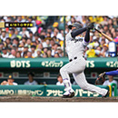 ブロマイド 4/18 T-D No.2　1森下