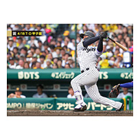 ブロマイド 4/18 T-D No.2　1森下