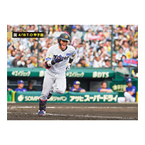 ブロマイド 4/18 T-D No.3　0木浪