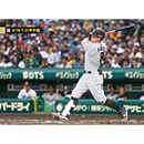 ブロマイド 4/19 T-D No.3　8佐藤（輝明）