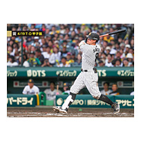 ブロマイド 4/19 T-D No.3　8佐藤（輝明）