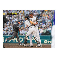 ブロマイド 4/19 T-D No.4　98ドリス、17伏見