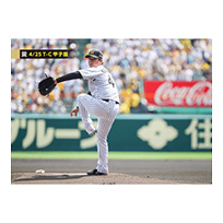 ブロマイド 4/25 T-C No.1　41村上