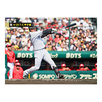 ブロマイド 4/25 T-C No.2　3大山