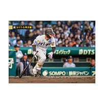 ブロマイド 5/1 T-G No.1　92福島