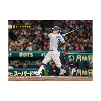 ブロマイド 5/1 T-G No.4　8佐藤（輝明）