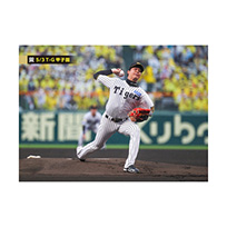 ブロマイド 5/3 T-G No.1　35才木