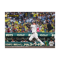 ブロマイド 5/3 T-G No.2　7中野