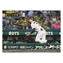 ブロマイド 5/3 T-G No.4　7中野