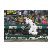 ブロマイド 5/3 T-G No.4　7中野