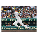 新品 阪神タイガース 高寺望夢 ホーム用 レプリカユニフォーム M 2026 新品 阪神タイガース 高寺望夢 ホーム用 レプリカユニフォーム L 2026