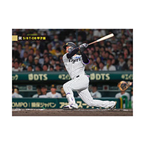 ブロマイド 5/8 T-DB No.3　1森下