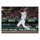 ブロマイド 5/8 T-DB No.4　7中野