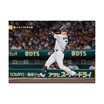 ブロマイド 5/8 T-DB No.4　7中野
