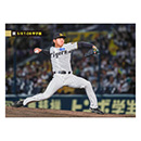 49 工藤泰成 - 阪神タイガース公式オンラインショップ T-SHOP
