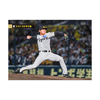 ブロマイド 5/8 T-DB No.5　49工藤