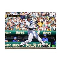 ブロマイド 5/9 T-DB No.2　1森下