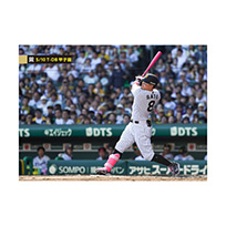ブロマイド 5/10 T-DB No.2　8佐藤（輝明）