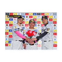 ブロマイド 5/10 T-DB No.5　8佐藤（輝明）、85嶋村、35才木
