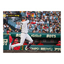 ブロマイド 5/15 T-C No.2　3大山