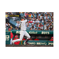ブロマイド 5/15 T-C No.2　3大山