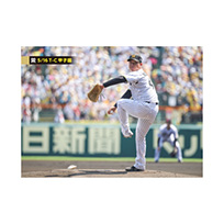 ブロマイド 5/16 T-C No.1　41村上