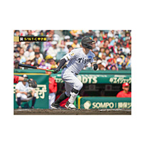ブロマイド 5/16 T-C No.2　8佐藤（輝明）