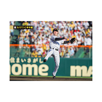 ブロマイド 5/17 T-C No.4　7中野
