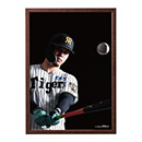 【T-SHOP限定】月刊タイガース表紙写真パネル 2026年6月号★受注生産品★