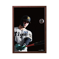 【T-SHOP限定】月刊タイガース表紙写真パネル 2026年6月号★受注生産品★
