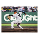 16 西勇輝 - 阪神タイガース公式オンラインショップ T-SHOP