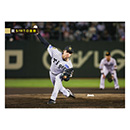 49 工藤泰成 - 阪神タイガース公式オンラインショップ T-SHOP