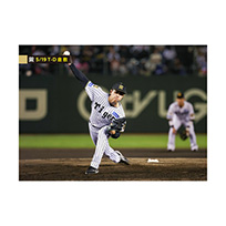 ブロマイド 5/19 T-D No.4　49工藤