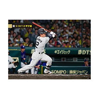 ブロマイド 5/20 T-D No.1　12坂本