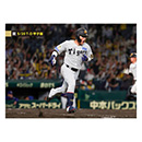 ブロマイド 5/20 T-D No.3　0木浪