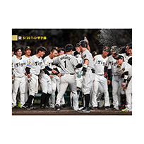 ブロマイド 5/20 T-D No.4　7中野、1森下、62植田、0木浪