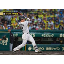 ブロマイド 5/27 T-F No.1　12坂本