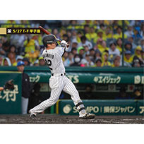 ブロマイド 5/27 T-F No.1　12坂本