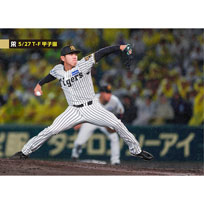 ブロマイド 5/27 T-F No.3　49工藤