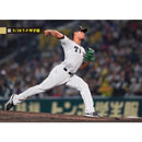 ブロマイド 5/28 T-F No.4　99モレッタ
