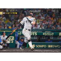 ブロマイド 5/28 T-F No.5　8佐藤（輝明）