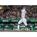 ブロマイド 6/3 T-L No.5　8佐藤（輝明）