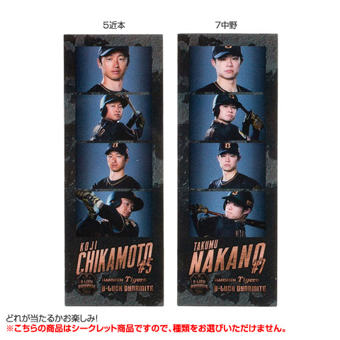 HANSIN TIGERS シーズンシート 限定ミニチュア T-SHOP限定】（全8種）TBDS シークレットフォトグレイ - 阪神