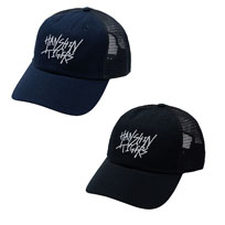 Tigers B-Union Hand Script Flagship