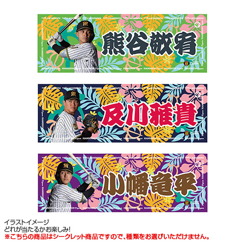 全12種）シークレット選手クーリングタオル - 阪神タイガース公式