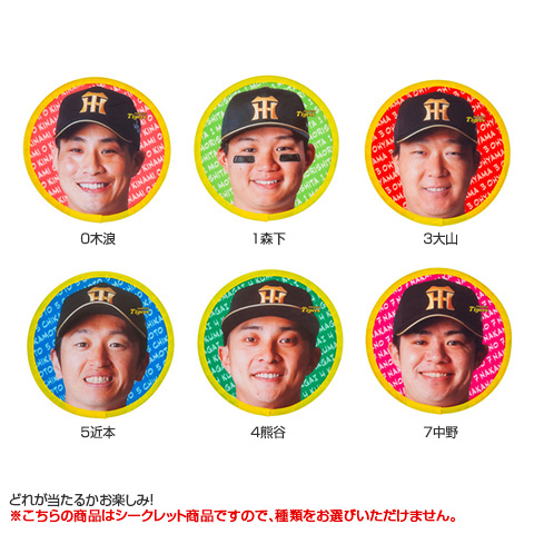 全12種）シークレット折りたたみうちわ - 阪神タイガース公式